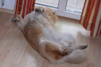 c_lebensjahr1_bild15.jpg (188511 Byte)