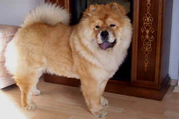 c_lebensjahr1_bild16.jpg (425789 Byte)