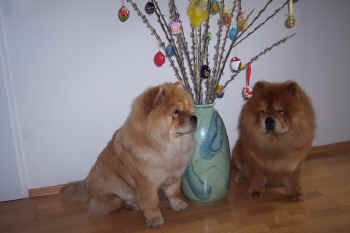 c_lebensjahr1_bild17.jpg (85249 Byte)