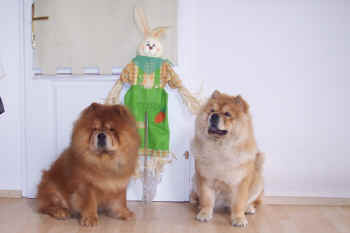 c_lebensjahr1_bild18.jpg (49736 Byte)