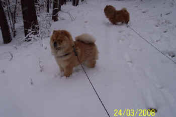 c_lebensjahr1_bild19.jpg (57361 Byte)