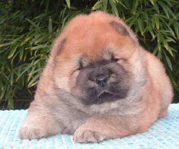 c_lebensjahr1_bild1.jpg (301453 Byte)