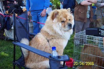 c_lebensjahr1_bild20.jpg (106800 Byte)