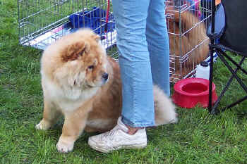 c_lebensjahr1_bild21.jpg (145163 Byte)