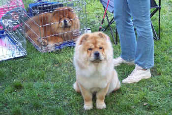 c_lebensjahr1_bild22.jpg (157476 Byte)