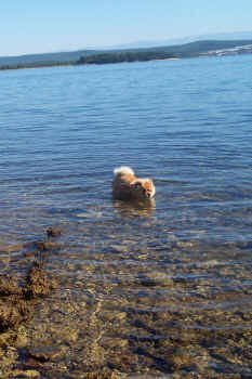 c_lebensjahr1_bild23.jpg (130061 Byte)