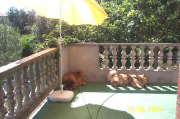 lebensjahr1_bild24.jpg (112271 Byte)