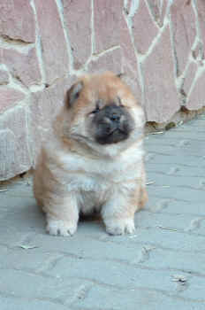 c_lebensjahr1_bild2.jpg (341323 Byte)