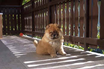 c_lebensjahr1_bild3.jpg (306154 Byte)