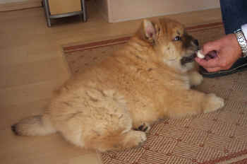 c_lebensjahr1_bild4.jpg (279467 Byte)