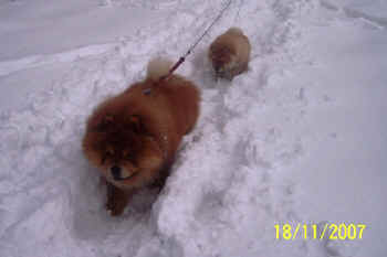 c_lebensjahr1_bild5.jpg (57550 Byte)