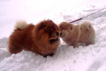 c_lebensjahr1_bild6.jpg (58974 Byte)