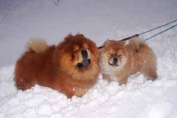 c_lebensjahr1_bild7.jpg (56132 Byte)