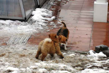 c_lebensjahr1_bild8.JPG (250325 Byte)