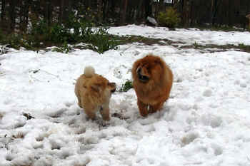 c_lebensjahr1_bild9.JPG (245869 Byte)