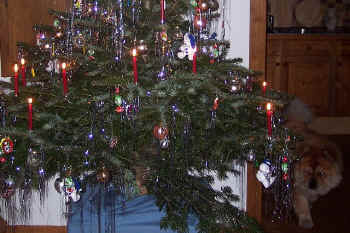 c_lebensjahr2_bild11.jpg (136982 Byte)