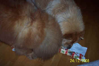 c_lebensjahr2_bild13.jpg (63516 Byte)