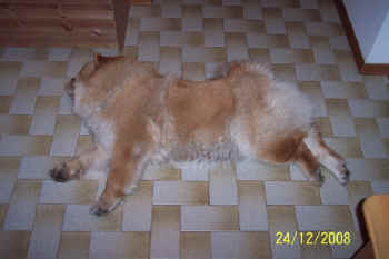 c_lebensjahr2_bild14.jpg (71289 Byte)