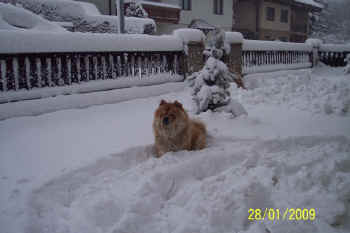 c_lebensjahr2_bild15.jpg (70983 Byte)