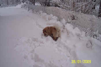 c_lebensjahr2_bild16.jpg (62464 Byte)