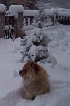 c_lebensjahr2_bild17.jpg (264840 Byte)