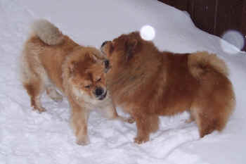 c_lebensjahr2_bild18.JPG (137019 Byte)