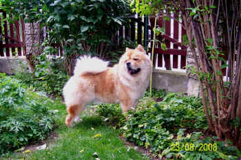 c_lebensjahr2_bild1.jpg (157123 Byte)