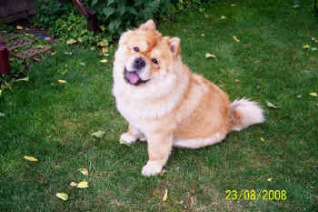 c_lebensjahr2_bild2.jpg (124807 Byte)