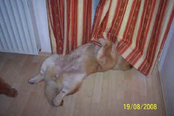 c_lebensjahr2_bild3.jpg (69461 Byte)