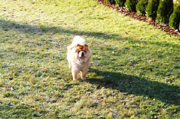 c_lebensjahr2_bild4.jpg (158061 Byte)