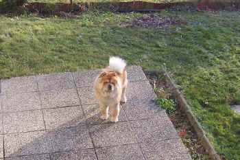 c_lebensjahr2_bild5.jpg (162049 Byte)