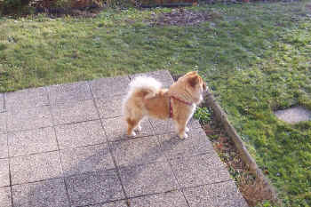 c_lebensjahr2_bild6.jpg (162578 Byte)