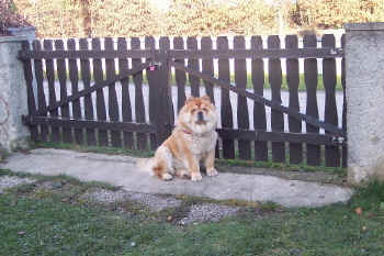 c_lebensjahr2_bild7.jpg (138741 Byte)