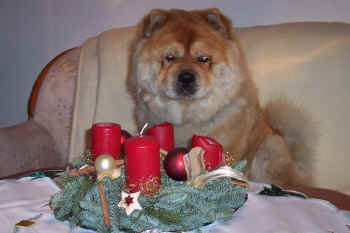 c_lebensjahr2_bild8.jpg (73524 Byte)