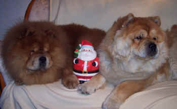 c_lebensjahr2_bild9.jpg (59308 Byte)