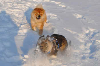 c_lebensjahr3_bild10.jpg (191680 Byte)