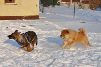 c_lebensjahr3_bild11.jpg (216834 Byte)