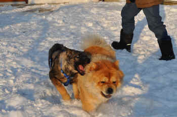 c_lebensjahr3_bild12.jpg (228114 Byte)