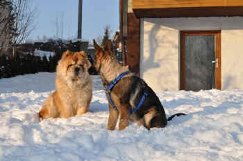 c_lebensjahr3_bild13.jpg (226463 Byte)