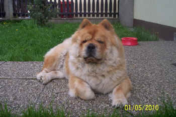 c_lebensjahr3_bild14.jpg (108257 Byte)