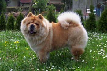 c_lebensjahr3_bild15.jpg (125271 Byte)