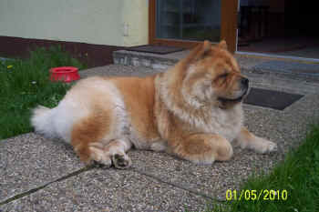 c_lebensjahr3_bild16.jpg (98304 Byte)