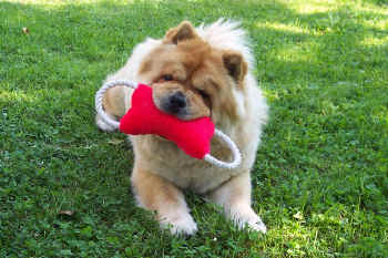 c_lebensjahr3_bild1.jpg (150911 Byte)