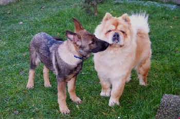 c_lebensjahr3_bild2.jpg (141222 Byte)