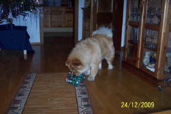 c_lebensjahr3_bild4.jpg (77128 Byte)