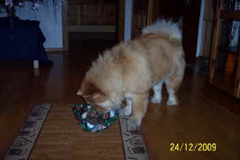 c_lebensjahr3_bild5.jpg (64368 Byte)