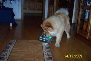 c_lebensjahr3_bild6.jpg (70559 Byte)