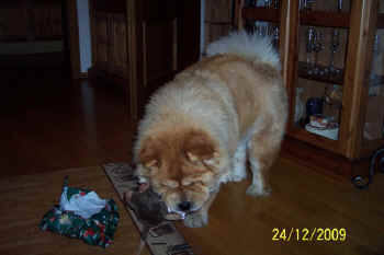 c_lebensjahr3_bild7.jpg (65696 Byte)