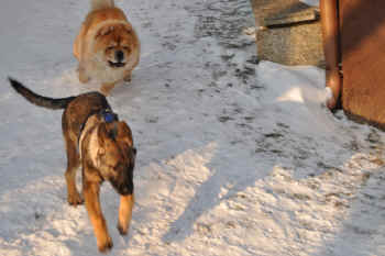 c_lebensjahr3_bild8.jpg (217821 Byte)