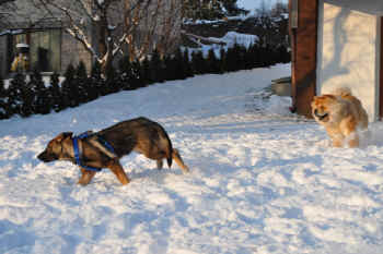 c_lebensjahr3_bild9.jpg (245007 Byte)